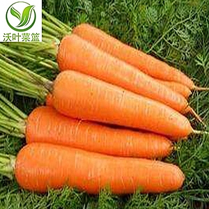 ���}����500g��